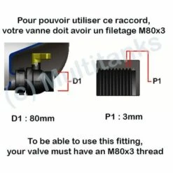 CPP Raccord Femelle M80x3 - Femelle 2 Pouces BSP - 2'' BSP -Recuperation de pluie Magasin 4270520 2