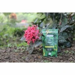 BERGER-WORLD Little Jungle 120g Réservoir D'Eau Solide Pour Plantes D'intérieur - LAUREAT PRIX JDC 2022 -Recuperation de pluie Magasin 54890723 5