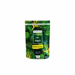 BERGER-WORLD Little Jungle 40g Réservoir D'Eau Solide Pour Plantes D'intérieur - LAUREAT PRIX JDC 2022